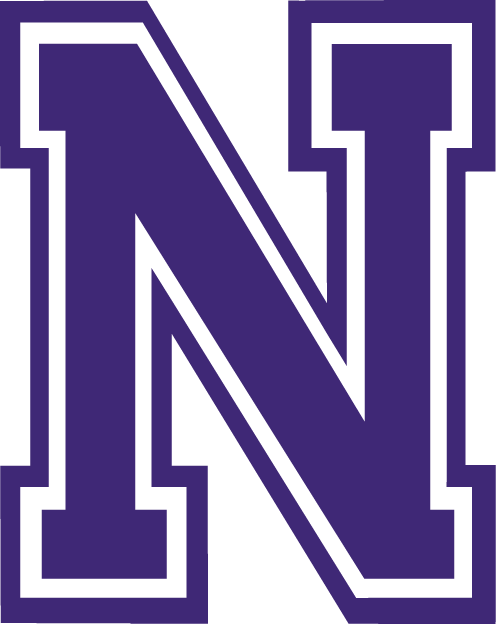 Northwestern State Demons 2000-2007 Alternate Logo diy DTF decal sticker